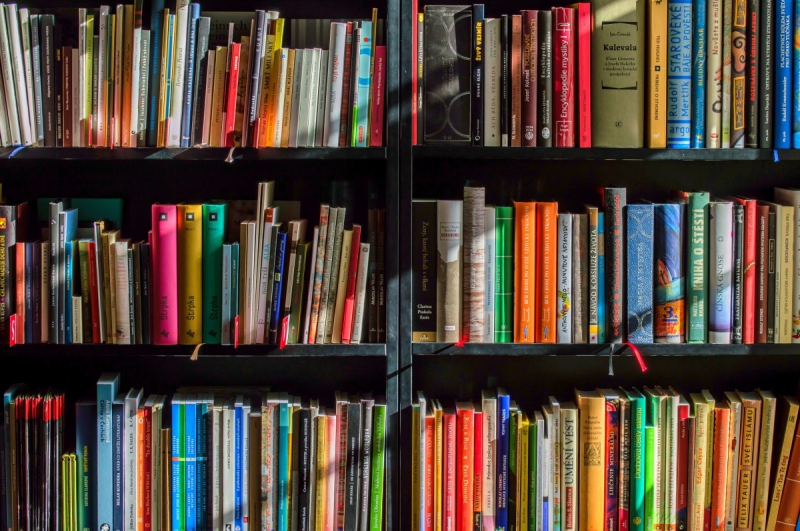 magasin-LA COLLE SUR LOUP-min_books_bookstore_book_reading_shop_writer_sale_books_read-822866